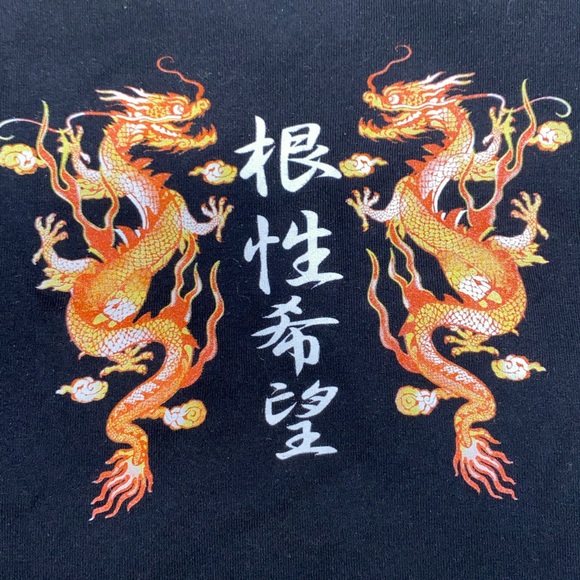 URBAN OUTFITTERS- dragon long sleeve crop top - Picture 3 of 3